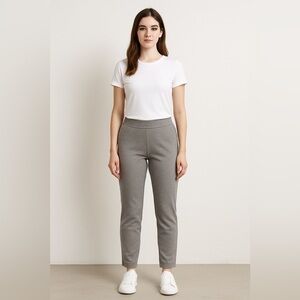 J. Jill Brown Ponte Stretch Pants Pull-On Slim Leg Women’s L